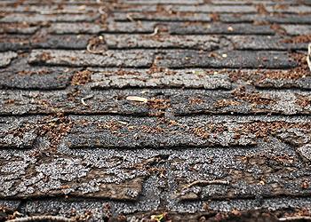 Pro-Tech Exteriors Images